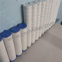 Ranplasman pou eleman filtre aparèy PALL UE319AP20H